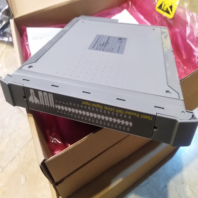 ICS Triplex T8403 TMR 24 В постоянного тока