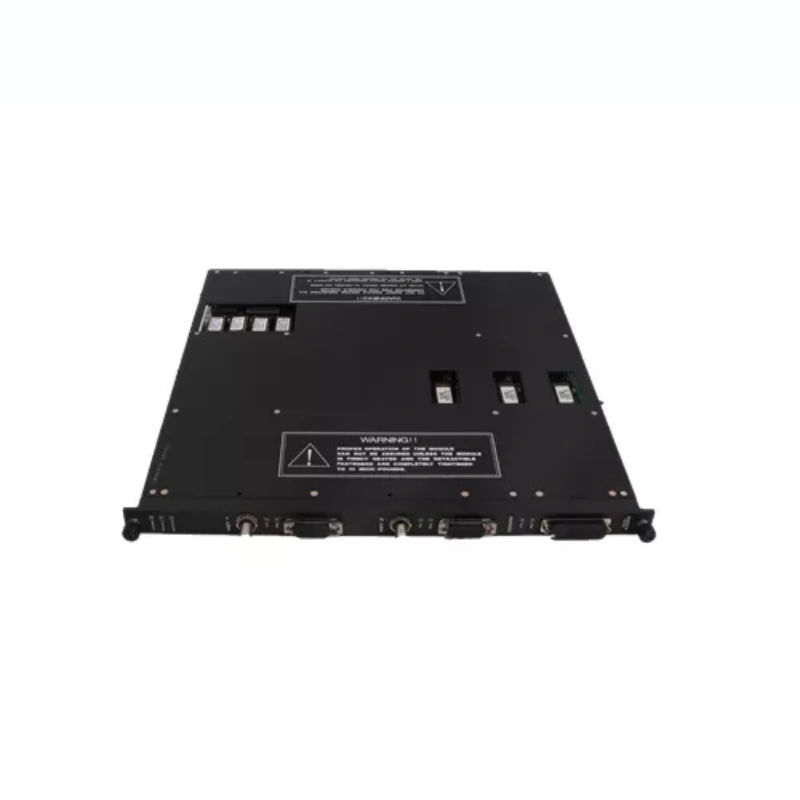 Triconex 7400209-010 AO2481 Аналоговая выходная базовая плата