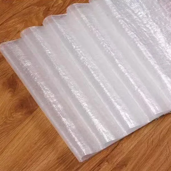 Прозрачный мешок