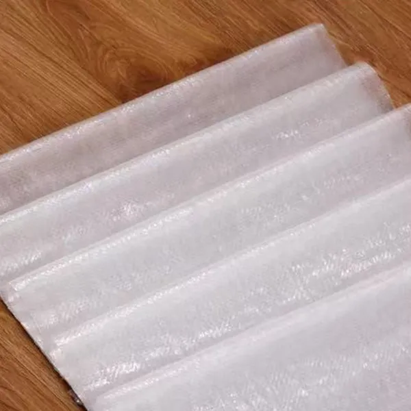 Прозрачный мешок