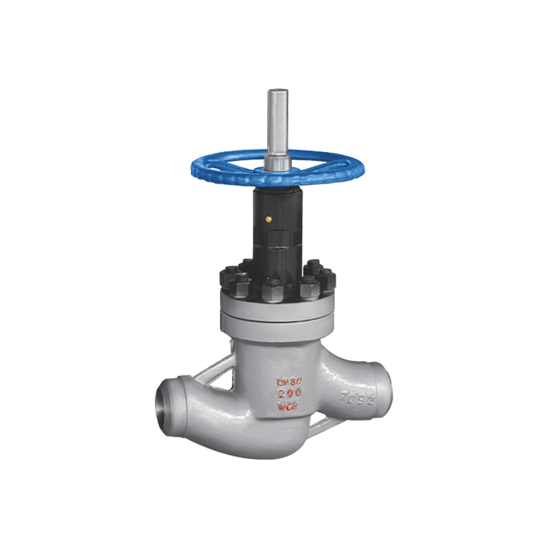 Клапан запорный для нефтепромыслов