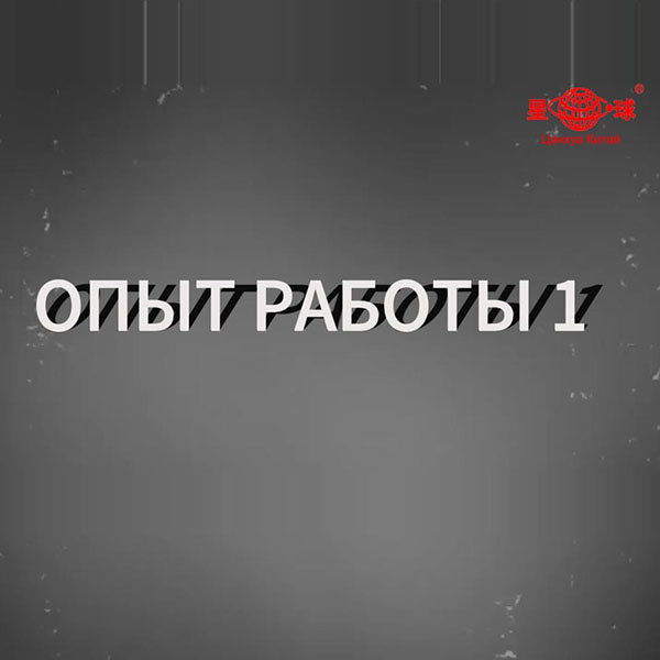 Опыт работы