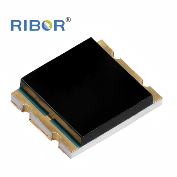 RB11-171-PDB