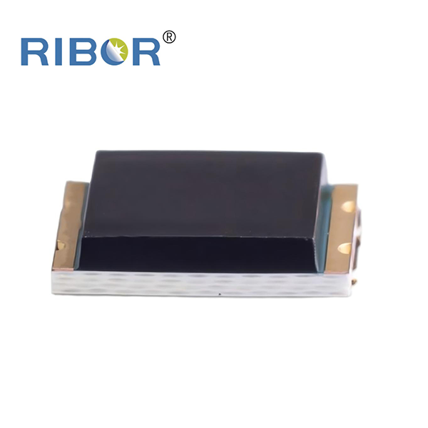 RB11-171-PDB