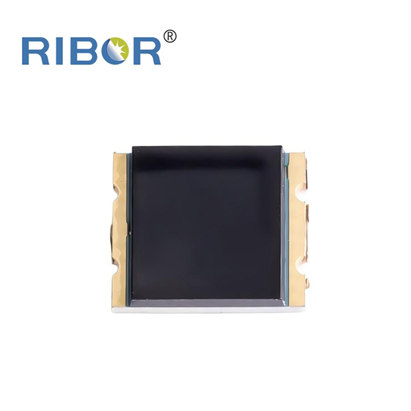 RB11-171-PDB
