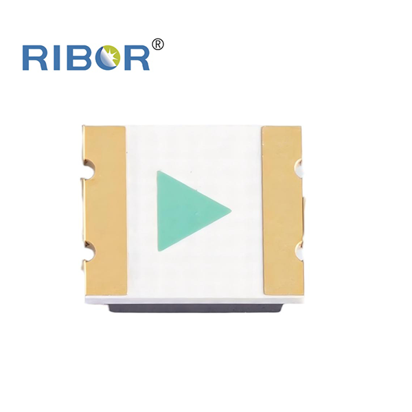 RB11-171-PDB