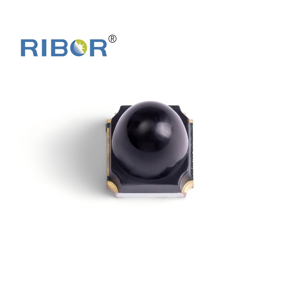 RB11-031-PTB