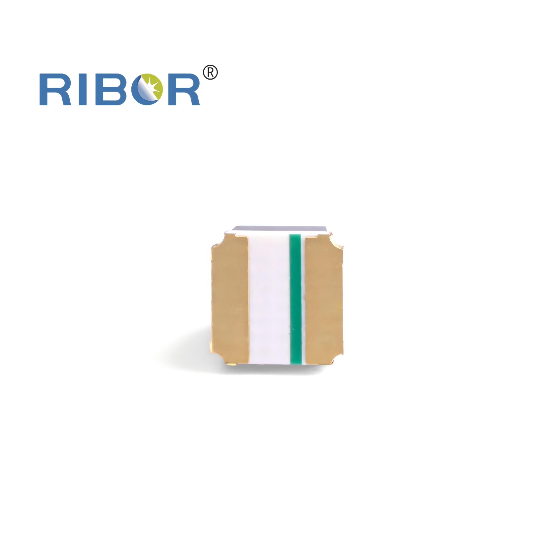 RB11-031-PTB
