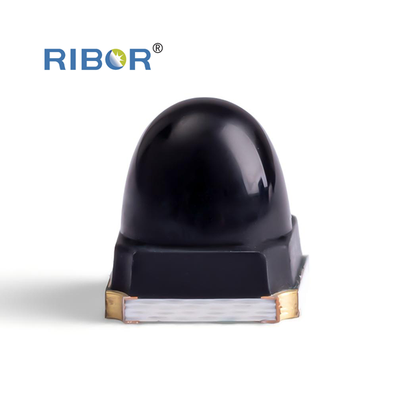 RB11-031-PTB