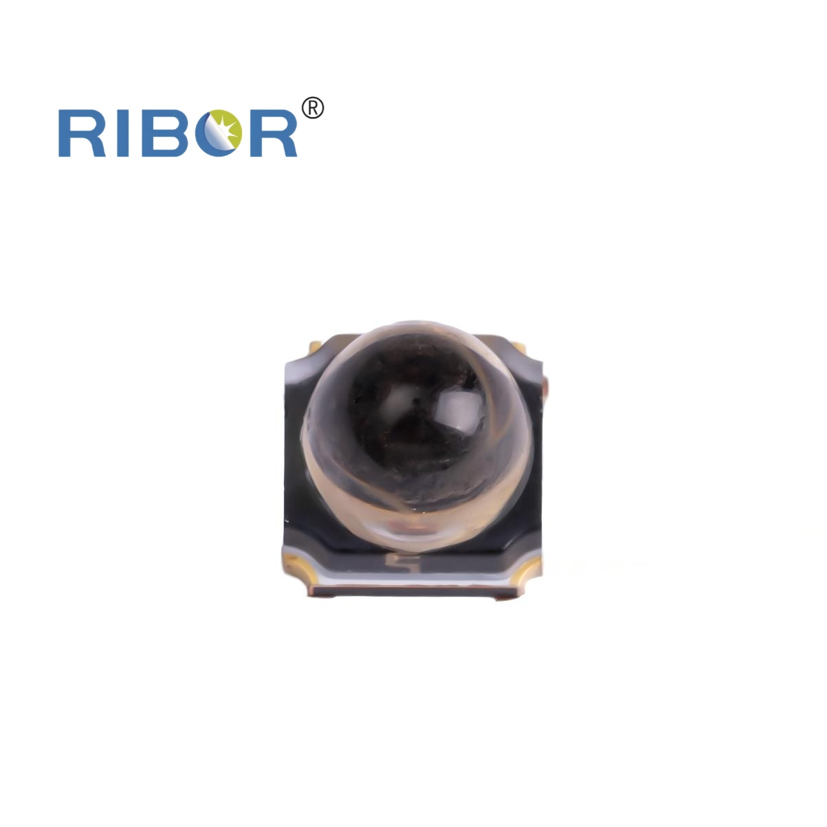 RB11-031-RYG