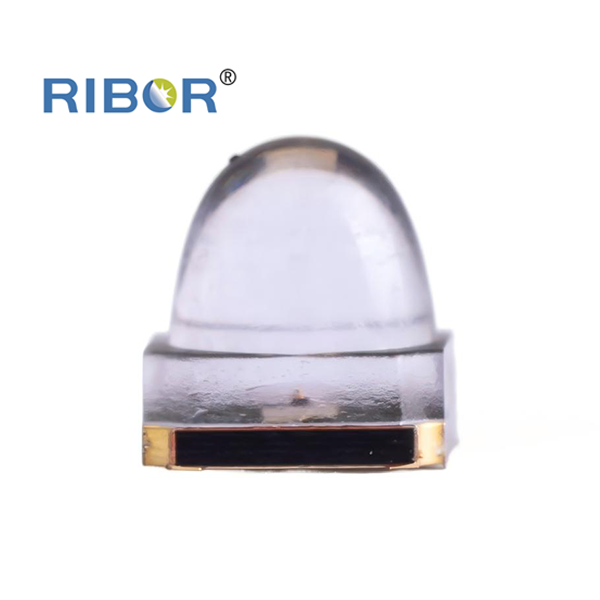 RB11-031-RYG