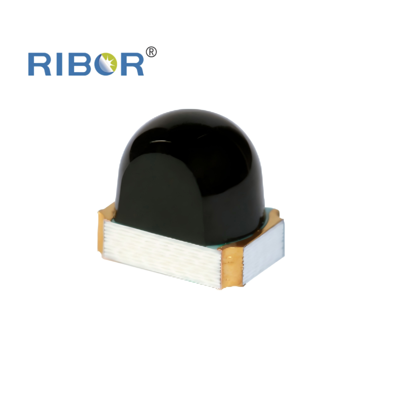RB11-021-PDB