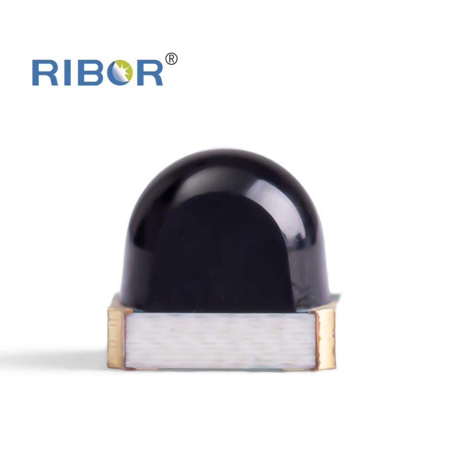RB11-021-PDB