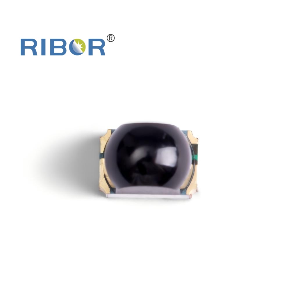 RB11-021-PDB