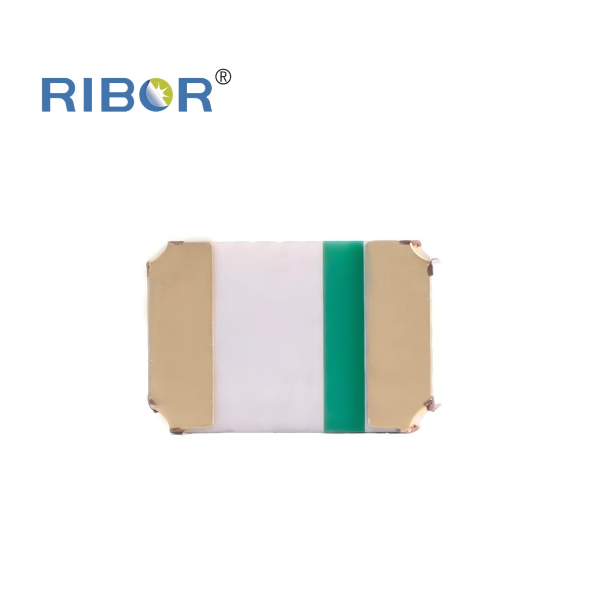 RB11-021-PDB