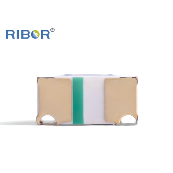 RB11-N51-PTB