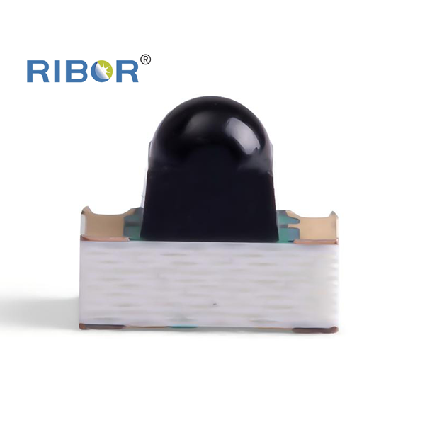 RB11-N51-PTB