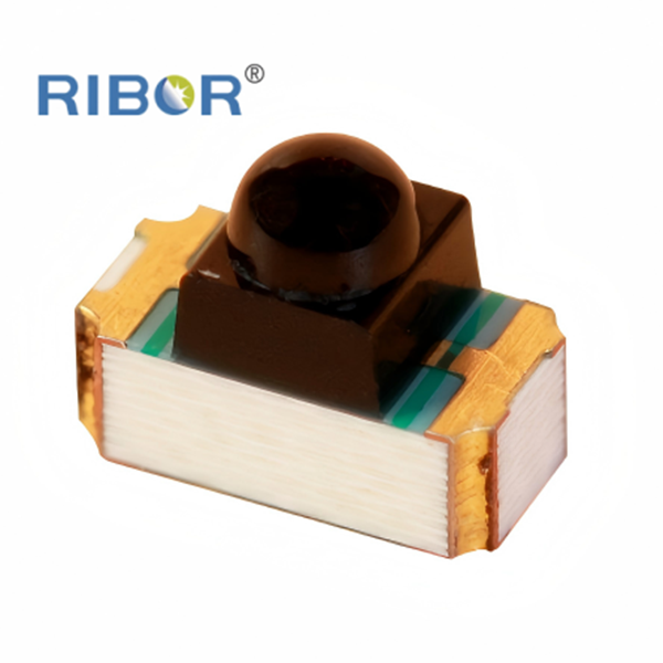 RB11-051-PDB