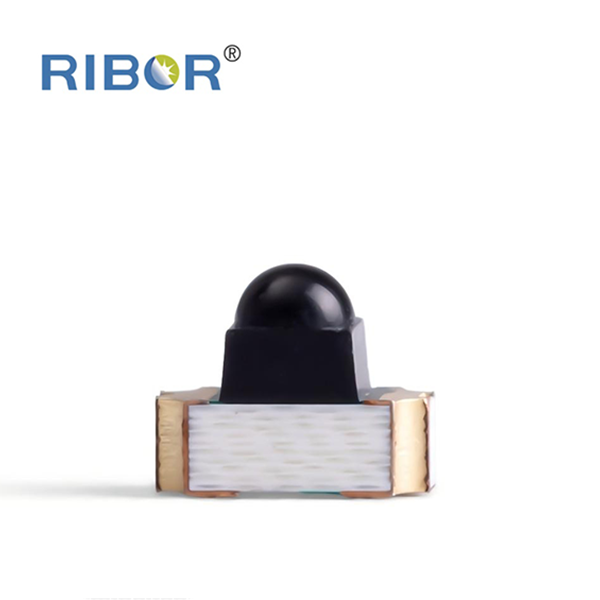 RB11-051-PDB