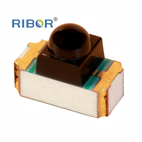 RB11-051-PTB