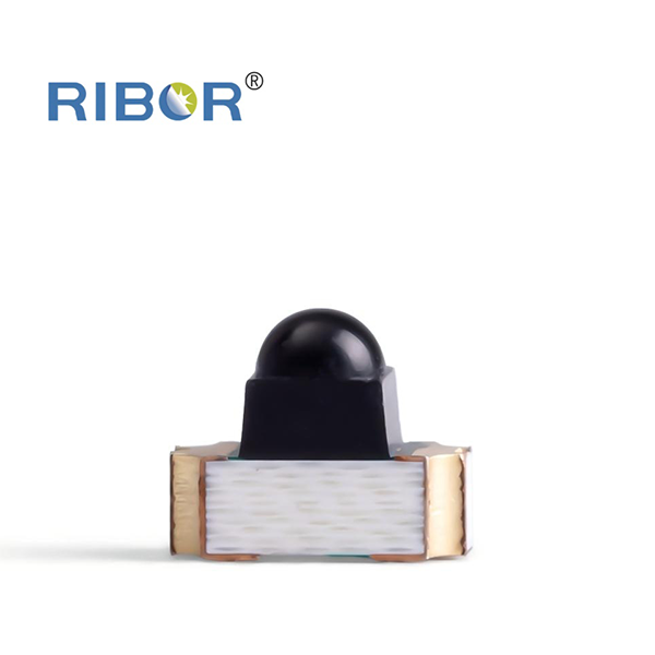 RB11-051-PTB
