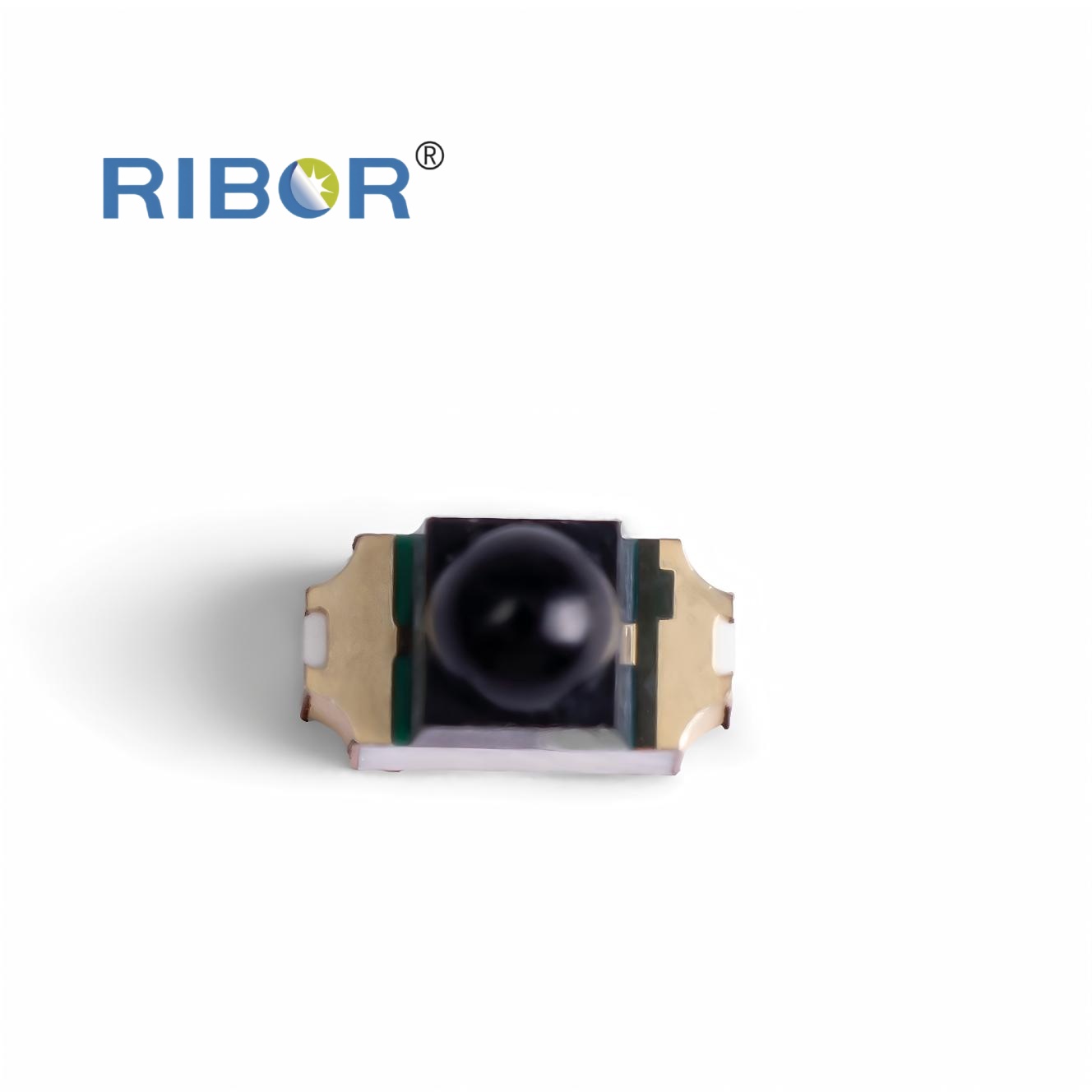 RB11-051-PTB