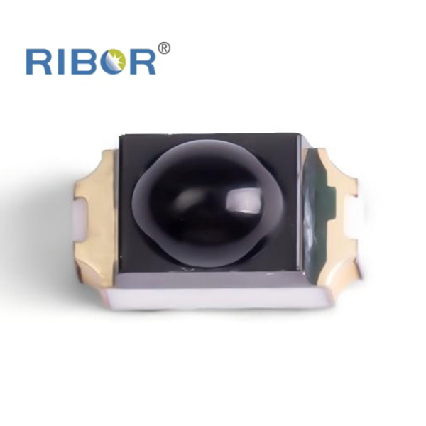RB11-151-PDB