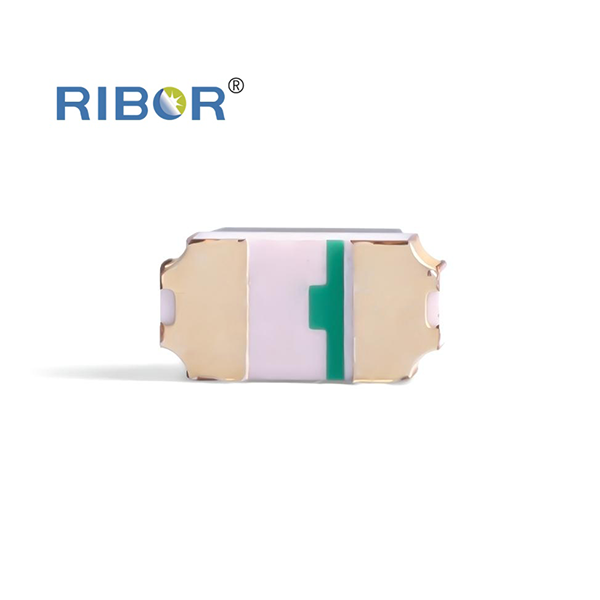 RB11-151-PDB