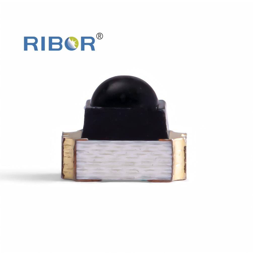 RB11-151 PTB