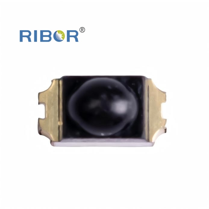 RB11-151 PTB