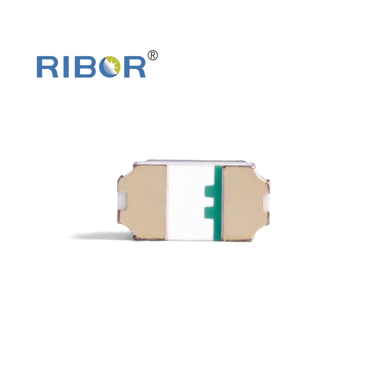 RB11-151 PTB
