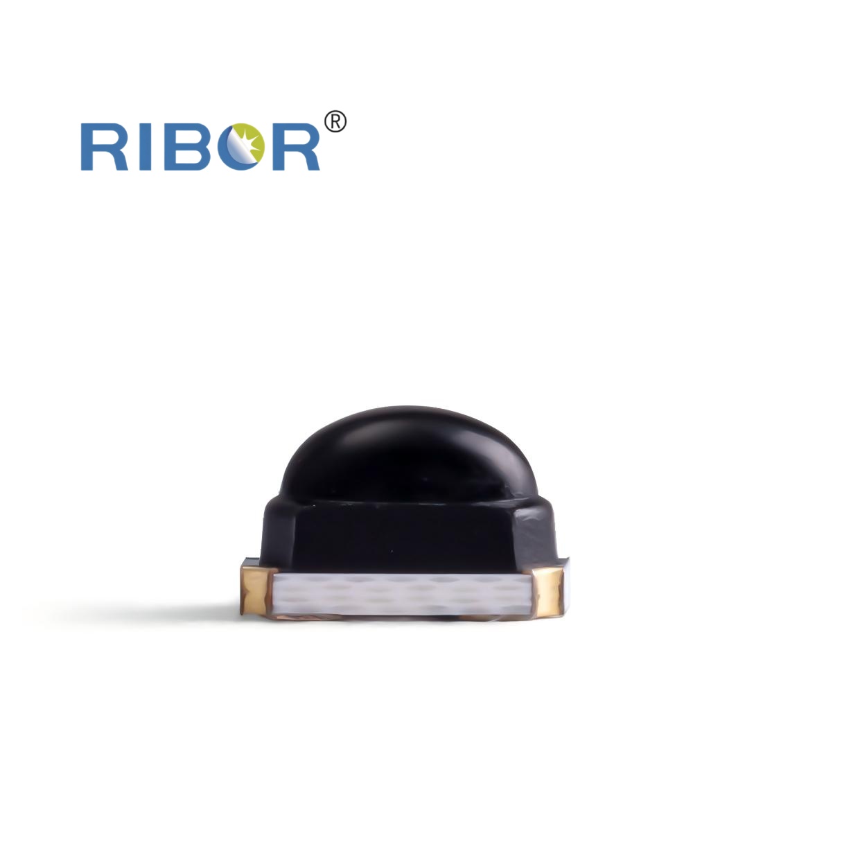 RB11-Z51-PDB