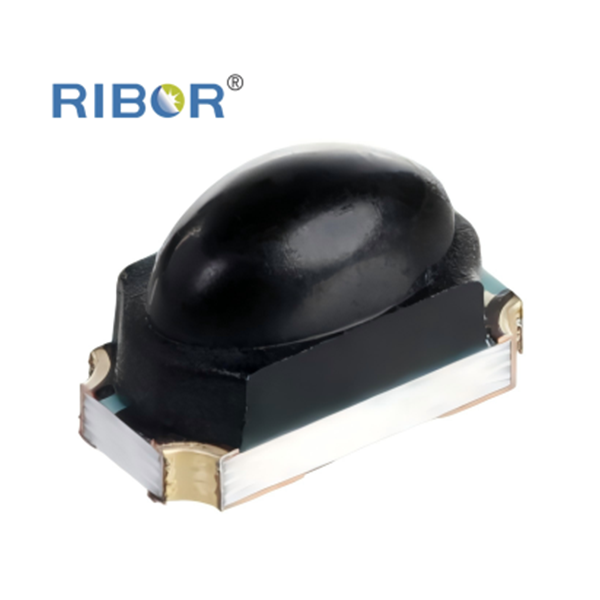 RB11-Z51-PDB