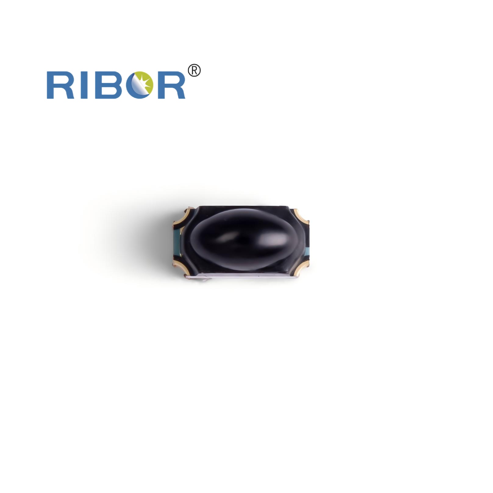 RB11-Z51-PDB