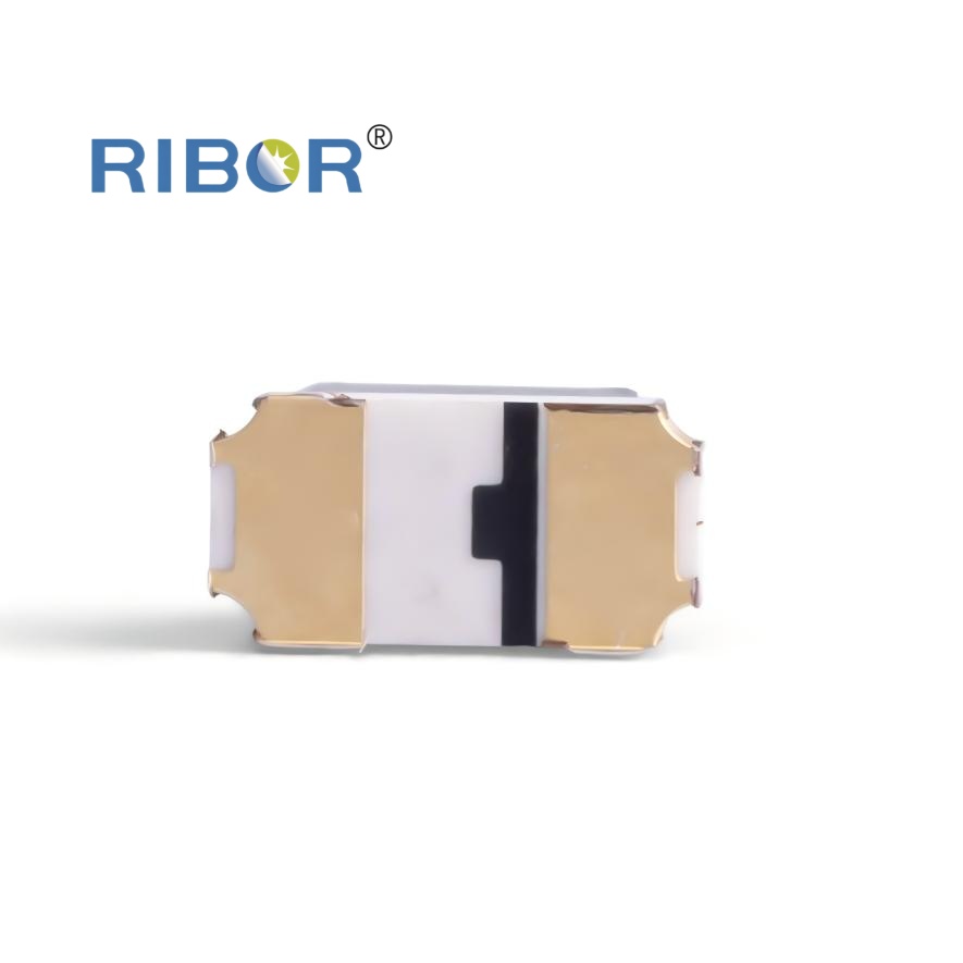 RB11-Z51-PDB