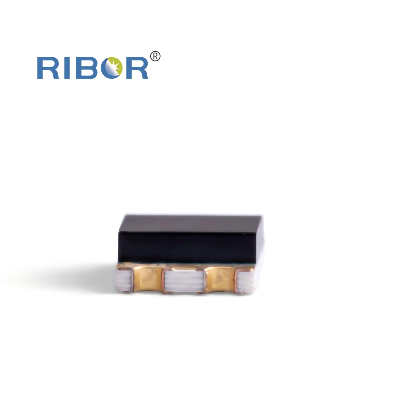 RB11-121-PDB