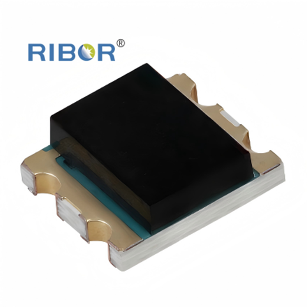 RB11-121-PDB