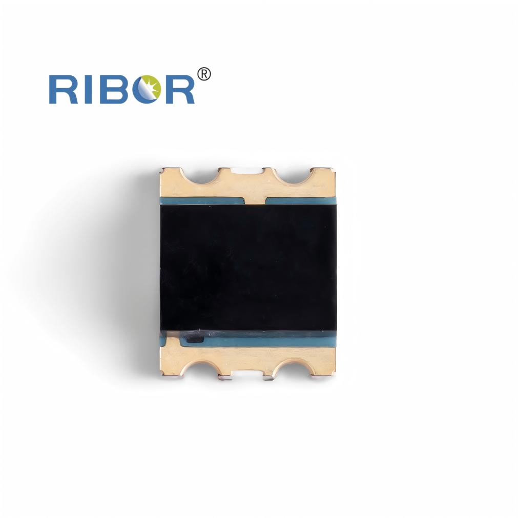RB11-121-PDB
