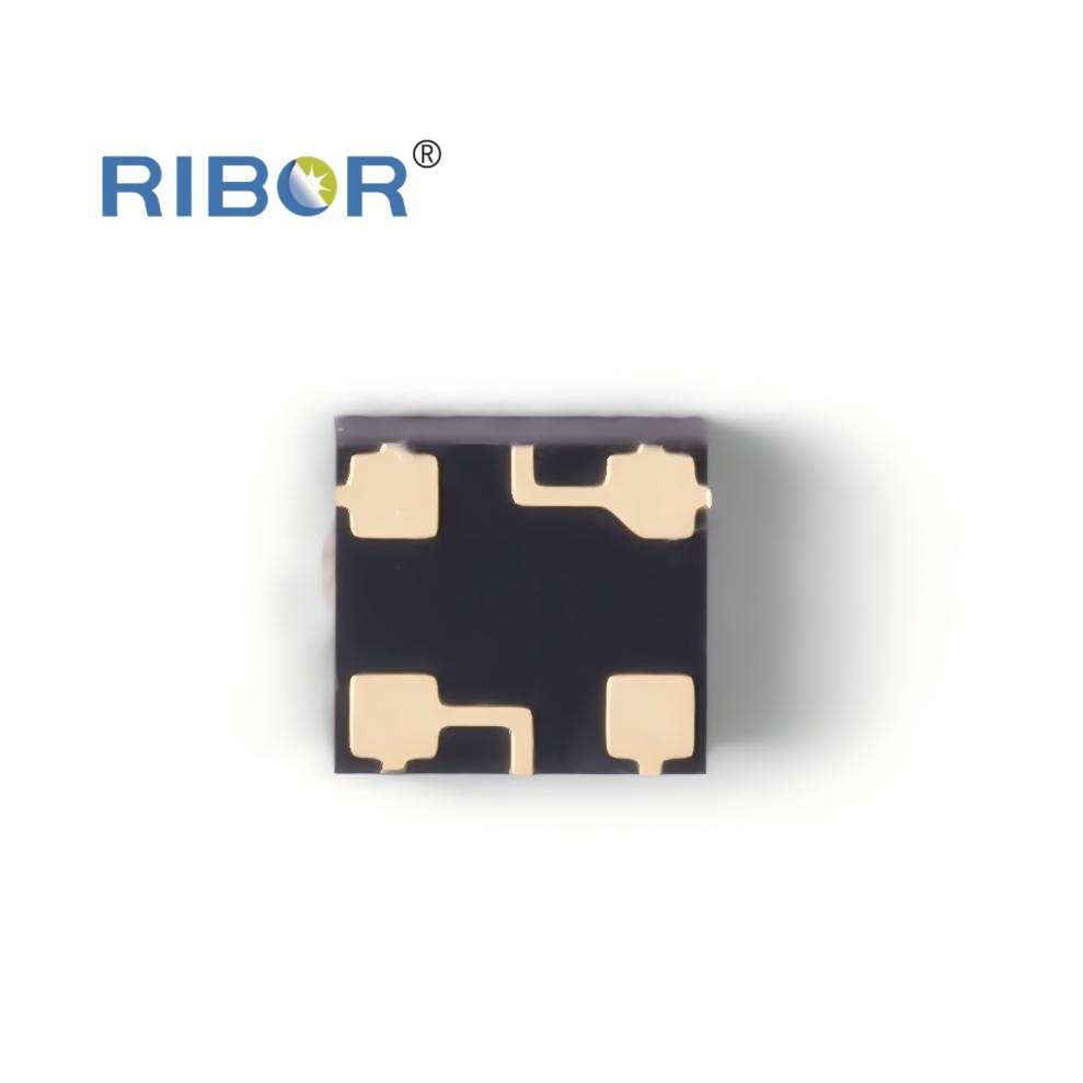 RB11-271-PDB
