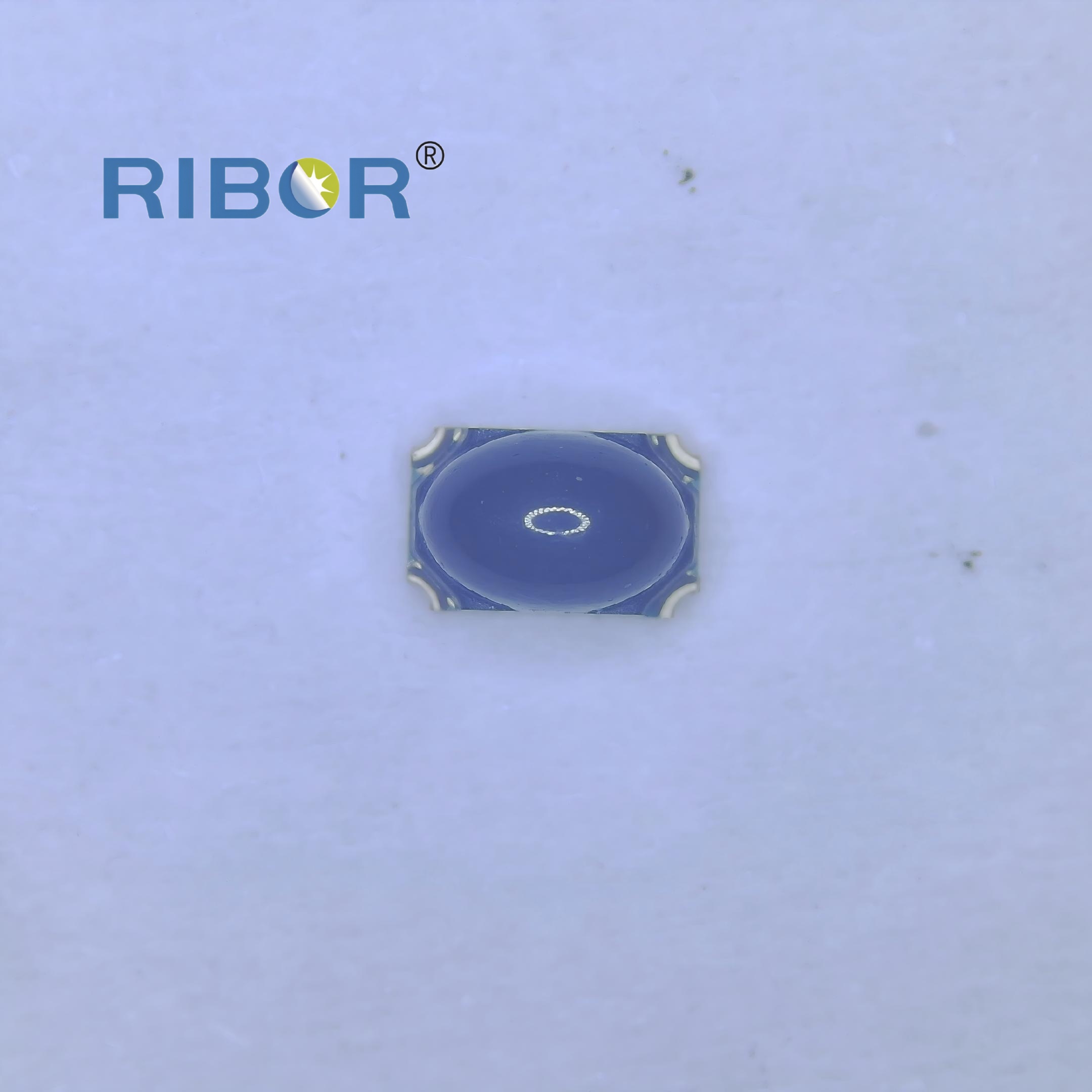 RB11-H51-PDB