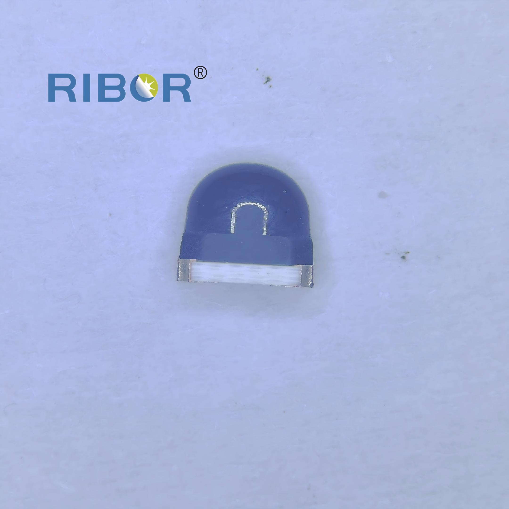 RB11-H51-PDB