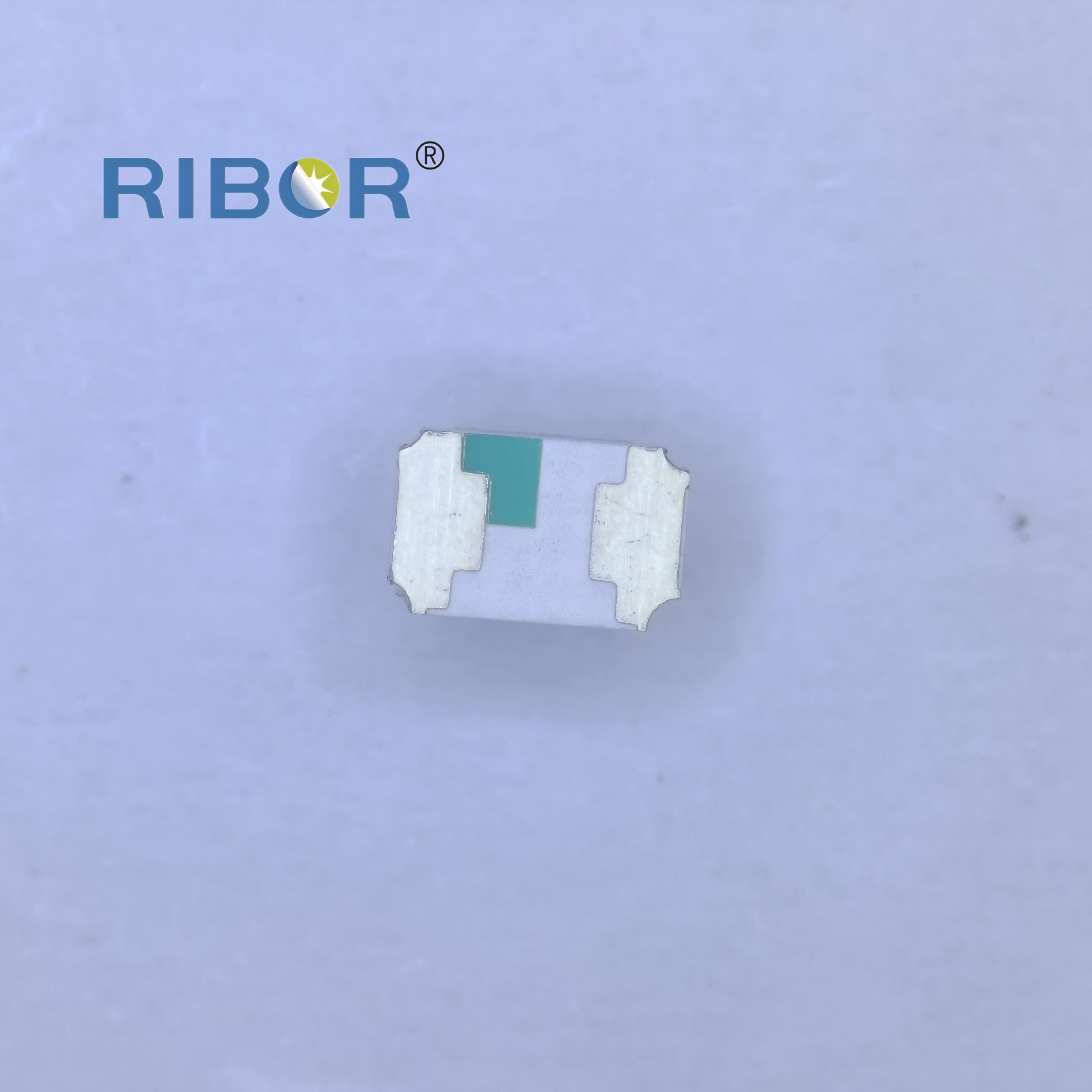 RB11-H51-PDB