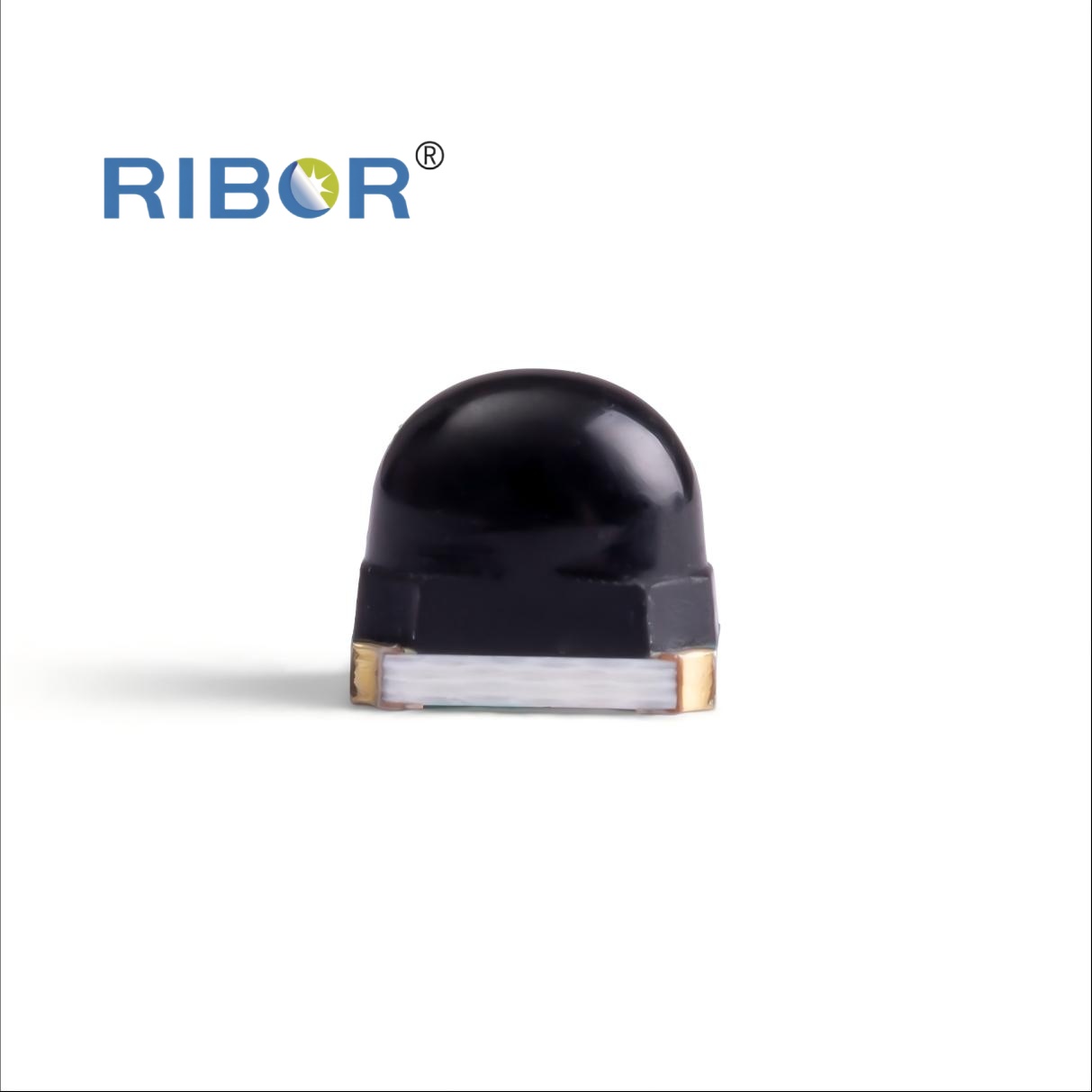 RB11-H51-PDB