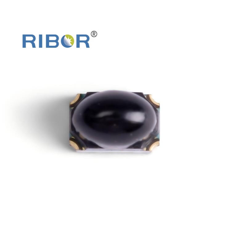 RB11-H51-PDB