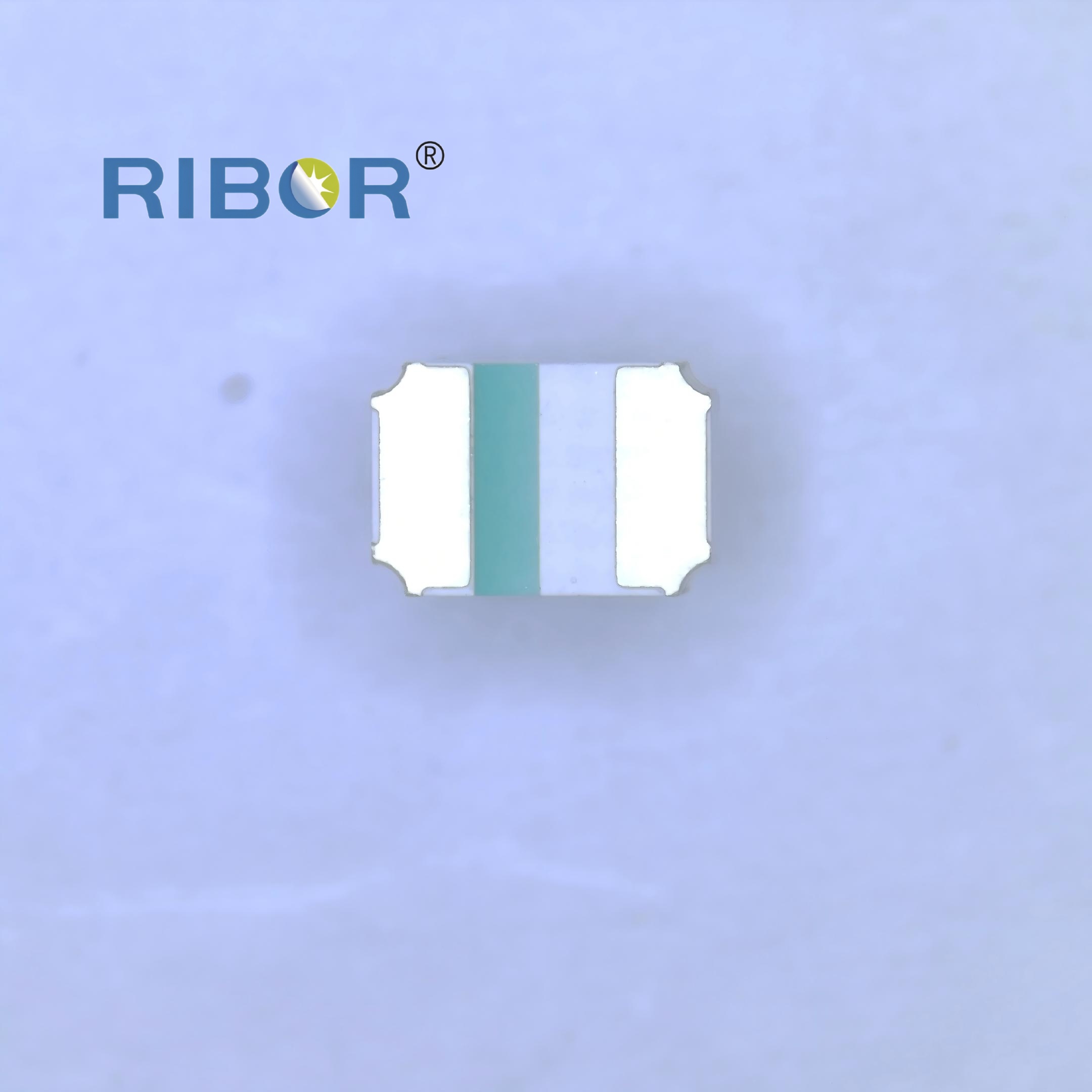 RB11-011-PDB