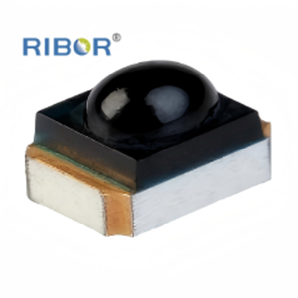 RB11-011-PDB