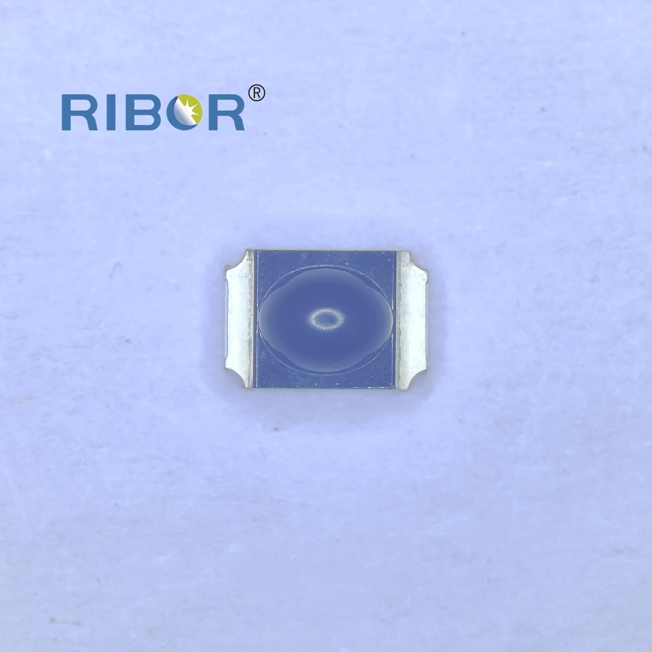 RB11-011-PDB