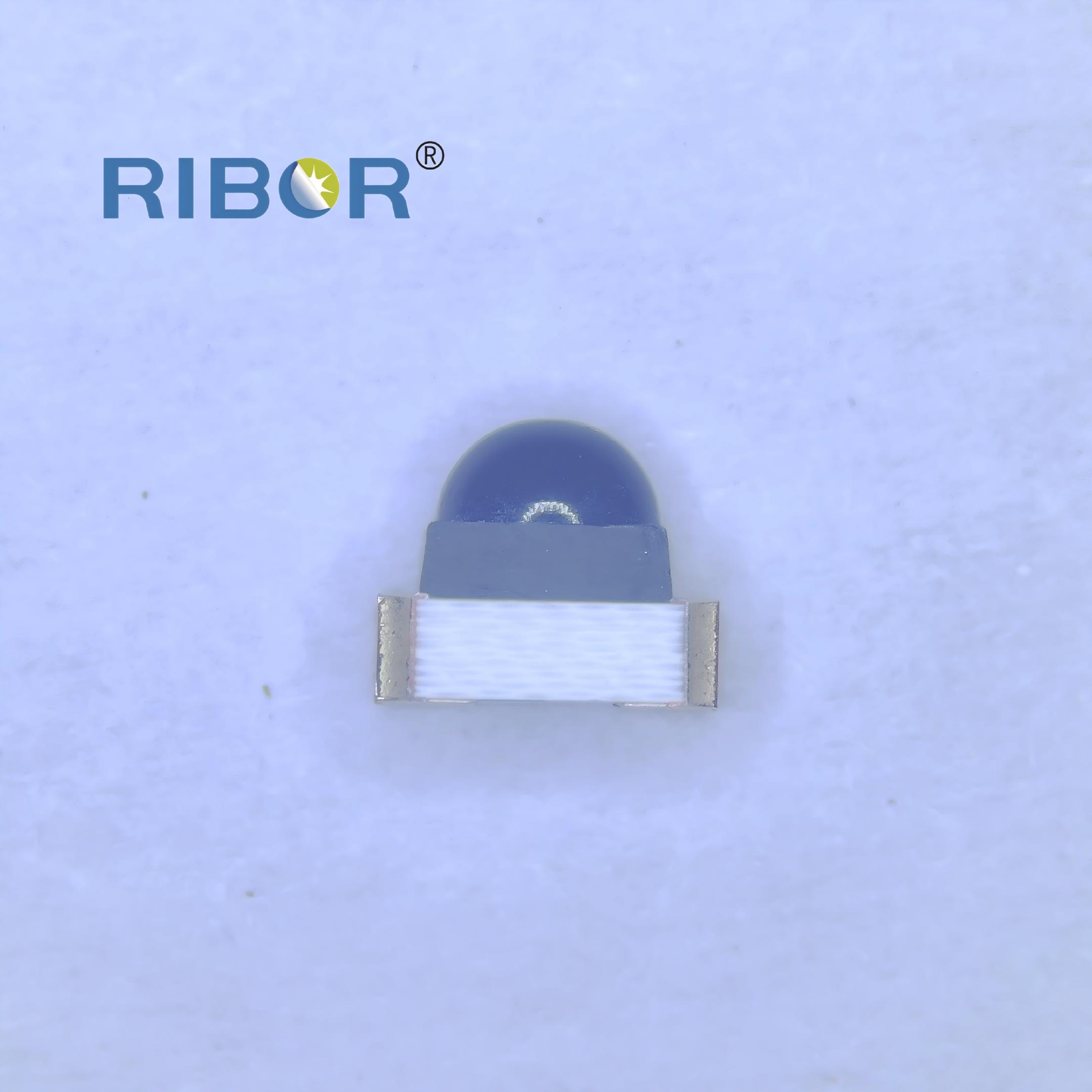 RB11-011-PDB