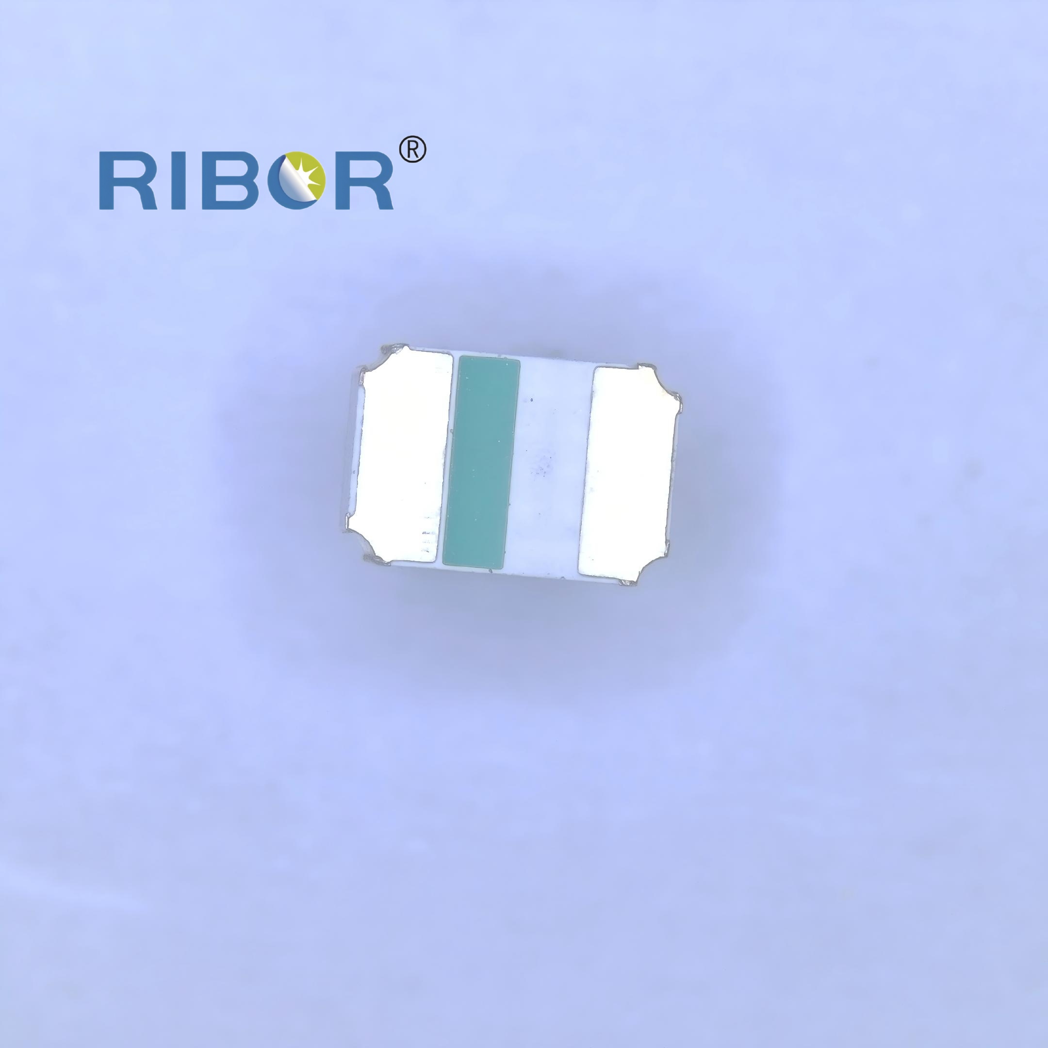 RB11-111- PDB