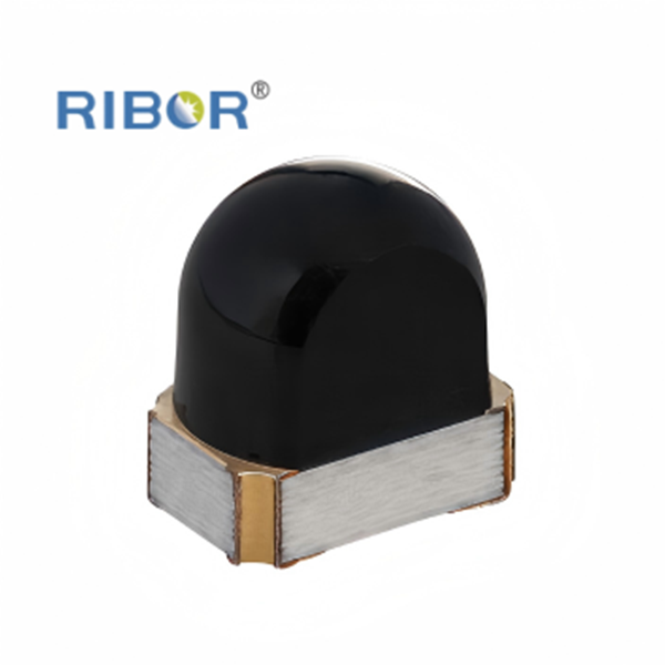 RB11-111- PDB